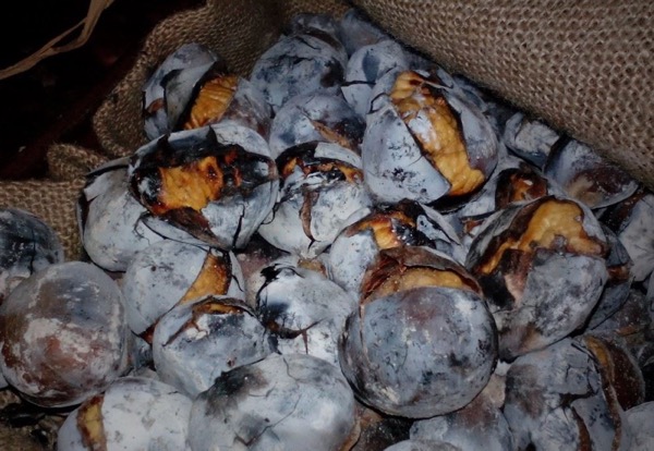 feira-da-castanha-em-fermentaos