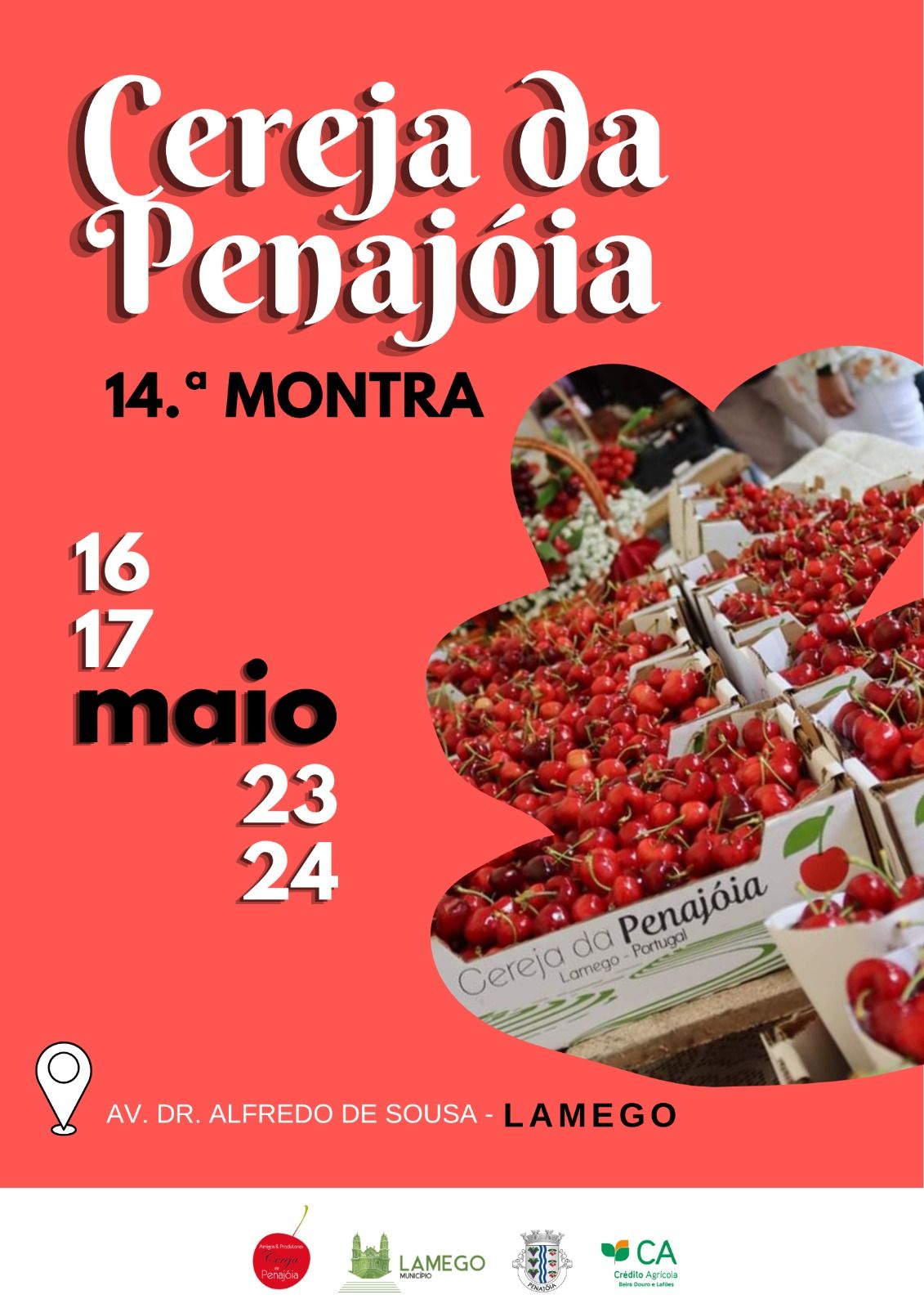 program poster